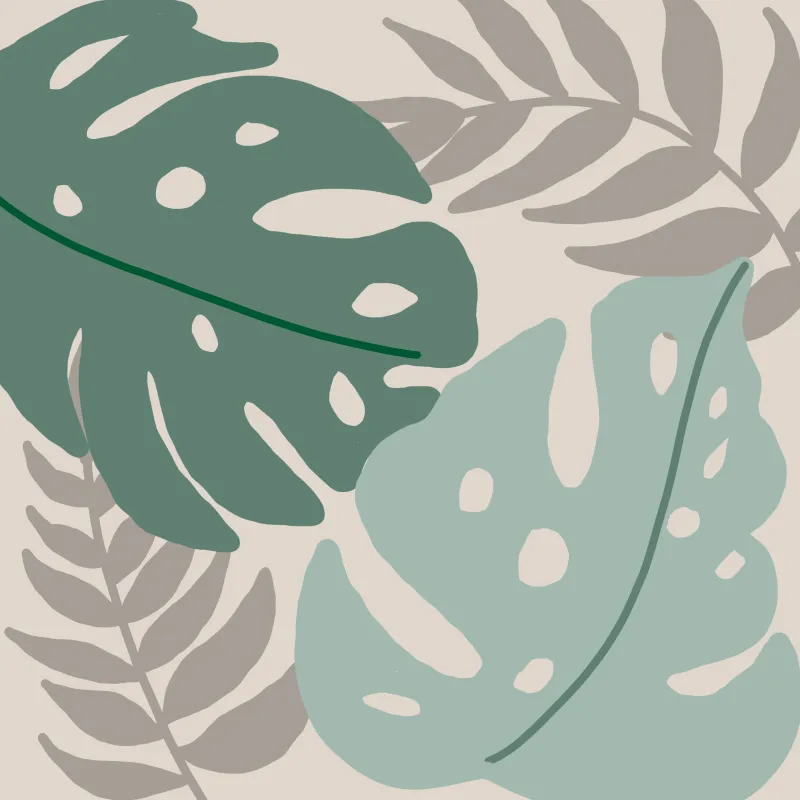 Monstera Blätter